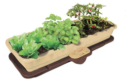 Hozelock Easyplant 3-in-1 - kweekbak met automatische bewatering