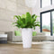 LECHUZA RONDO PREMIUM 32 - Plantenbak - met uitneembare binnenbak - met bewateringssysteem - ALL-IN-ONE set met LECHUZA-PON - scharlakenrood hoogglans