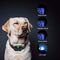 Geavanceerde Honden Anti Blaf Band - 4 Trainingsmodi & Waterdicht - Lange Batterijduur