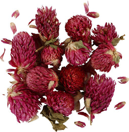 Gedroogde Bloemen Rode Klaver Paars, 15gr