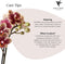 Geel rode Phalaenopsis orchidee – Spain + Elite sierpot copper – potmaat Ø9cm – 40cm hoog -