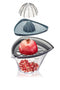 GEFU FRUTI POMEGRANATE SEED AND JUICE SQUEEZER G-14480