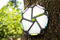 Gel Blaster Portal Gooi