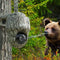 Reolink KEEN Ranger PT - Bewakingscamera - 2560x1440 Quad HD - Bewegingsdetectie IR-nachtzicht (10m)