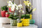 Gele Phalaenopsis orchidee – Mexico + Citrus sierpot green – potmaat Ø9cm – 40cm hoog -