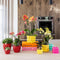 Gele Phalaenopsis orchidee - Mexico + Citrus sierpot yellow - potmaat Ø9cm -