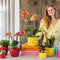 Gele Phalaenopsis orchidee - Mexico + Citrus sierpot yellow - potmaat Ø9cm -