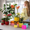 Gele Phalaenopsis orchidee - Mexico + Citrus sierpot yellow - potmaat Ø9cm -