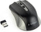 Gembird MUSW-4B-04-GB muis Ambidextrous RF Draadloos Optisch 1600 DPI
