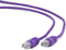 Gembird RJ45/RJ45 Cat6 3m netwerkkabel F/UTP (FTP) Paars