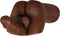 Gender X Backdoor Bash Masturbator Bruin
