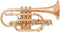 Geneva Cornet Mentor (gelakt)