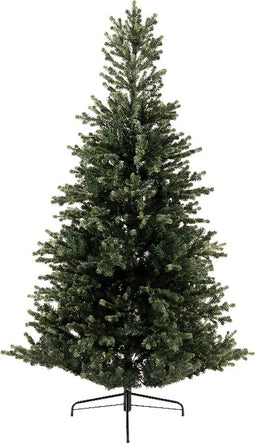 Geneva fir h180 cm groen