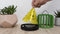 Genius Ideas Gi-054561: Flytrap Verlichte Insectenval 'Cactus'
