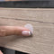 Genius Ideas GI-121636: Zelfklevende Velcro Buttons - Wit (62 stuks)