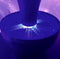 Genius Ideas Insectenverdelger Solar Buzz Trap-One