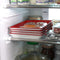 Genius Ideas Set Van 2 Clever Tray Fresh Keeping System