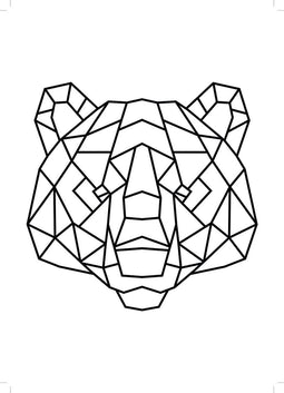 GeoZoo Bear