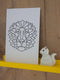 GeoZoo Lion