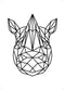 GeoZoo Rhino