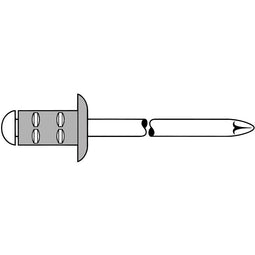 Gesipa 1464831 Popnagel (Ø x l) 4 mm x 10 mm RVS Aluminium 100 stuk(s)