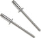 Gesipa Blindklinknagels met Rvs Cilinderkop - 3 x 6 mm - 500 Stuks