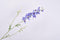 Silk-ka Kunstbloem-Zijden Bloem Delphinium Tak Blauw-Paars 101 cm Voordeelaanbod Per 2 Stuks