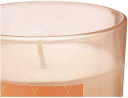 Geurkaars Gember (120 g) (12 Stuks)