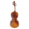 GEWA Viool Allegro-VL1 3/4