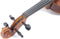 GEWA Viool Allegro-VL1 4/4