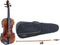GEWA Viool Allegro-VL1 4/4