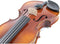 GEWA Viool Allegro-VL1 4/4