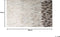MALDAN - Patchwork vloerkleed - Lichtbeige - 140 x 200 cm - Koeienhuid leer
