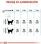 Royal Canin Urinary Care - Kattenvoer - 4 kg