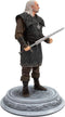 Dark Horse - The Witcher Vesemir - PVC Beeld 23 cm - Multi