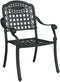 vidaXL - Tuinstoelen - - - Set - van - 2, - Zwart - Gietaluminium
