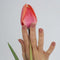 LAUED Nagelstickers - Nail Wraps - 16 Extreem Dunne Nagellak Stickers - Manicure Nail Art Folie - Dancing With Bears