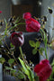 Silk-ka Kunstbloem-Zijden Bloem Fritillaria Tak Roze 64 cm Voordeelaanbod Per 2 Stuks