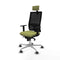 Piqueras y Crespo 1D086G2 - Bureaustoel - Hoofdsteun en armleuning - Groen