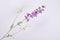Silk-ka Kunstbloem-Zijden Bloem Delphinium Tak Paars 101 cm Voordeelaanbod Per 2 Stuks