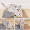 Kattenkrabmat - Sisal Krabmat voor Katten om Klauwen te Slijpen en Meubels te Beschermen