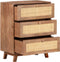 vidaXL - Dressoir - 61x35x76 - cm - massief - mangohout