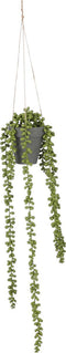 Mica Decorations Senecio Kunst Hangplant in Pot - H56 x Ø9 cm - Lichtgroen