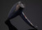 GHD HHWG1012 hair dryer