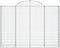 vidaXL - Schanskorven - 5 - st - gewelfd - 200x30x140/160 - cm - ijzer
