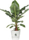 Elho Greenville Rond 47 - Grote Bloempot met Waterreservoir - 100% Gerecycled Plastic - Ø 47 x H 44 cm - Wit
