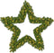 Black Box Trees Ster 400 Tips Kerstkrans - 120x120x14 cm - PVC - Groen