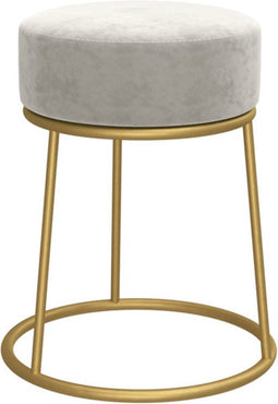 vidaXL - Hocker - rond - fluweel - lichtgrijs