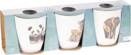 Mok Jungle, Set van 3.