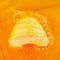 Gift Republic Bee Happy Bruisbal